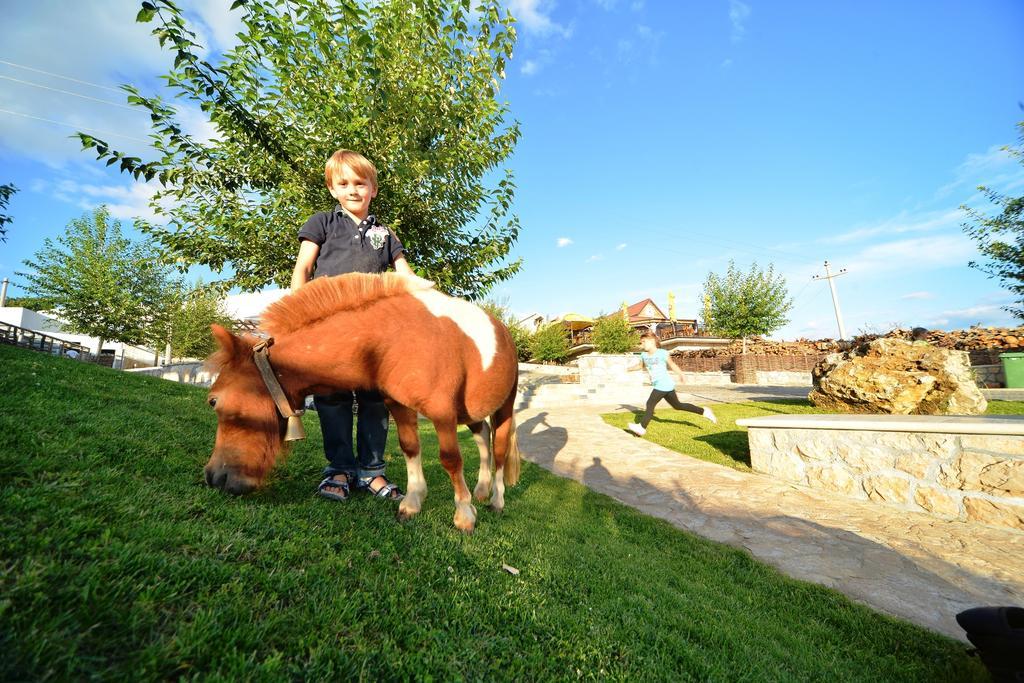 Eco-Selo Grabovica Villa Esterno foto